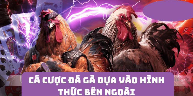 Xác định kinh nghiệm đá gà cựa sắt dựa vào hình thức